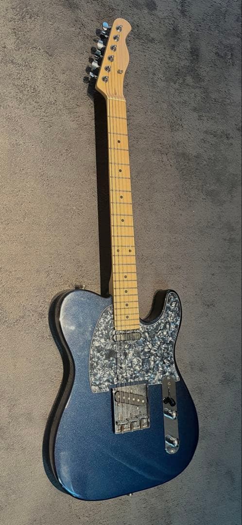 Bacchus テレキャスター カスタム品 エレキギター　ソフトケース付き