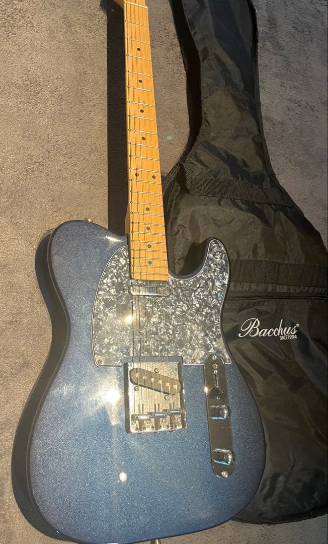 Bacchus テレキャスター カスタム品 エレキギター　ソフトケース付き