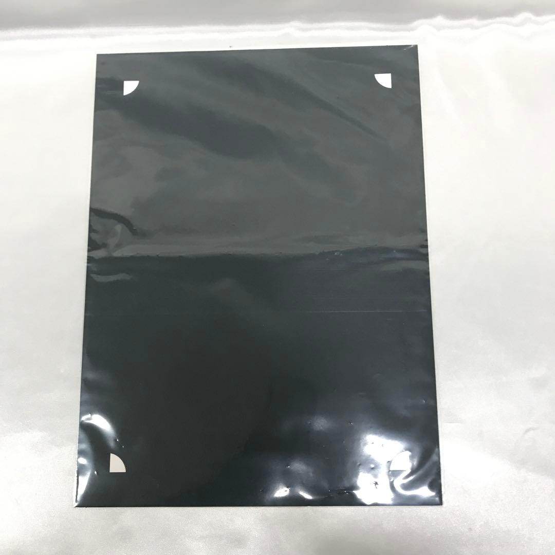 ナミ バースデーポートレート 「ワンピース」