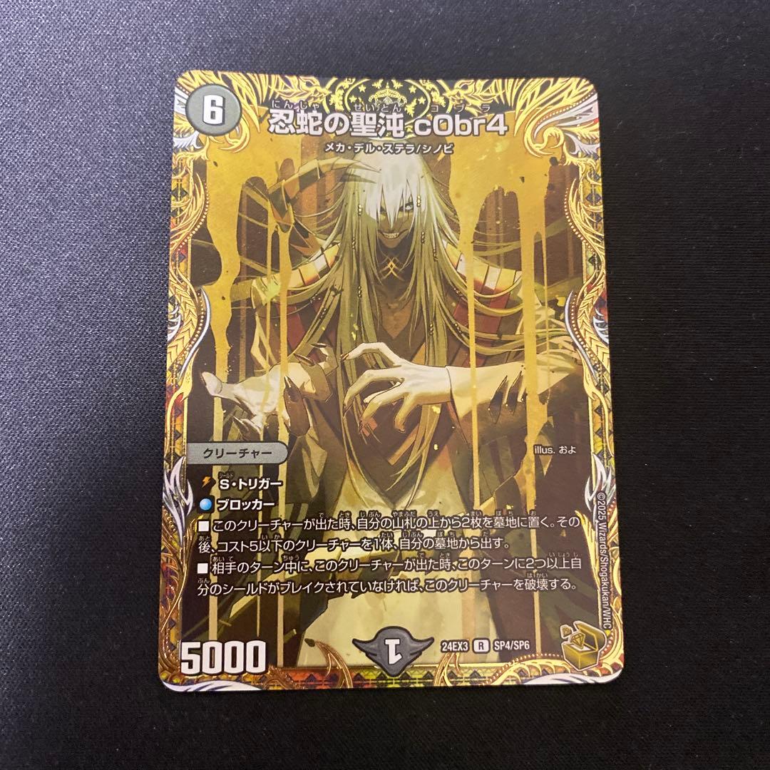 忍蛇の聖沌c0br4