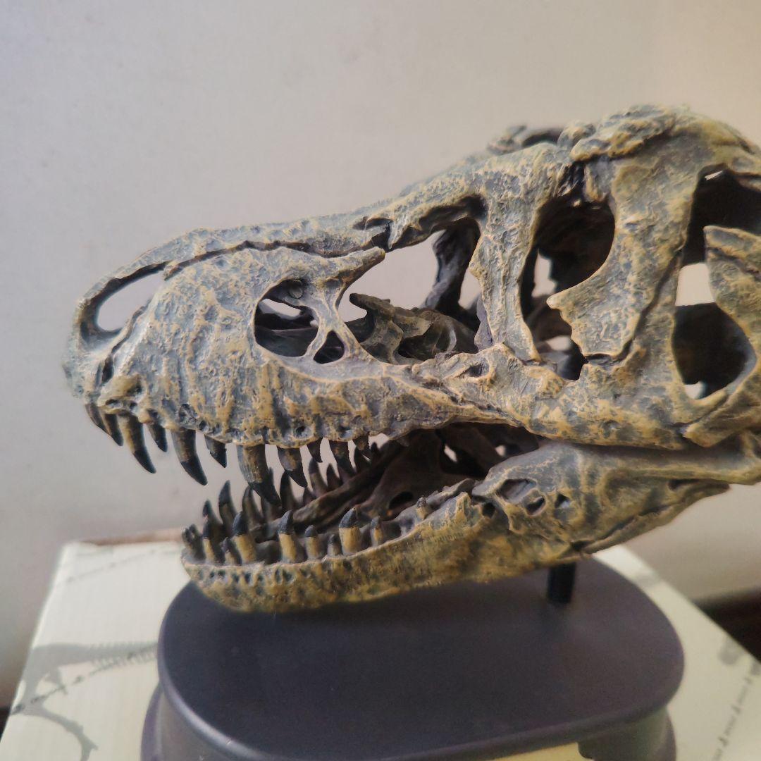 ティラノサウルス　模型　国立科学博物館