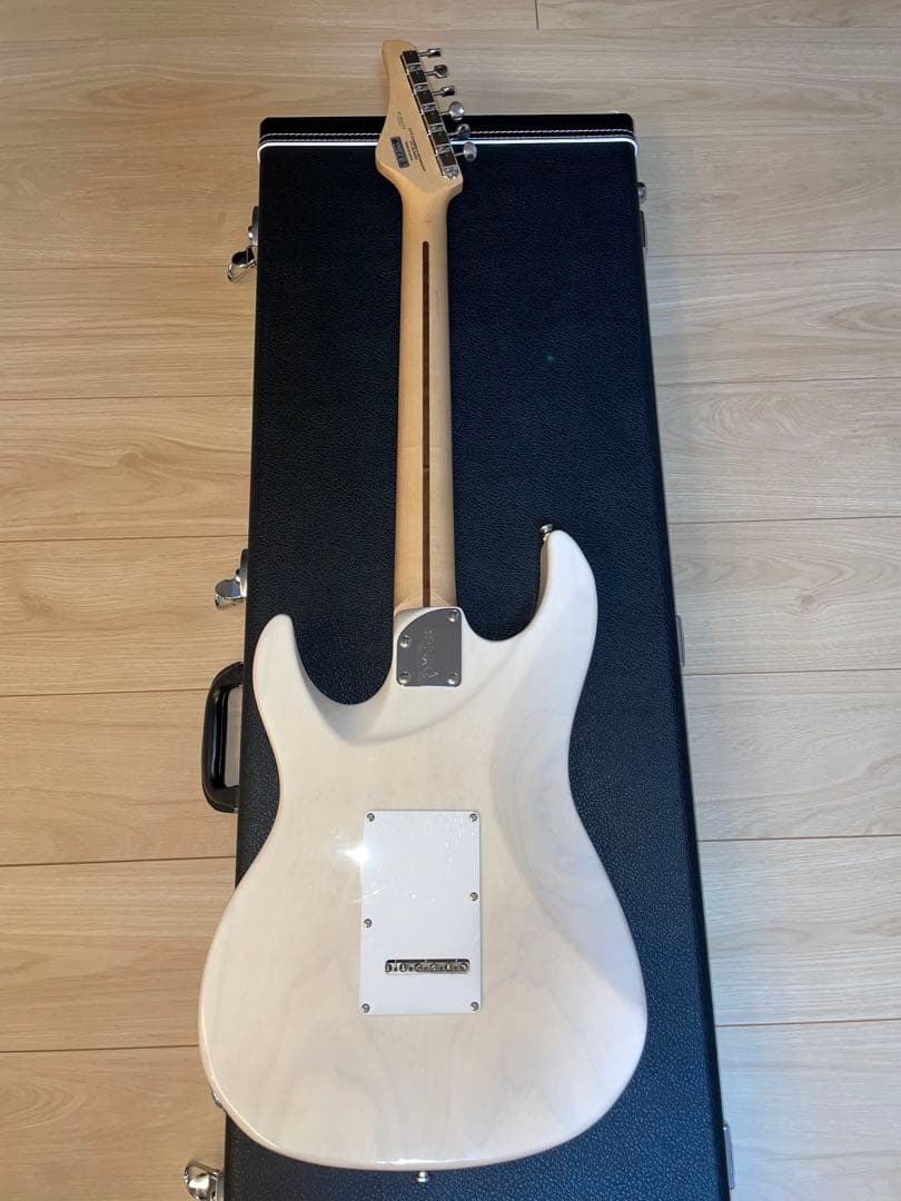 FUJIGEN eos ギター