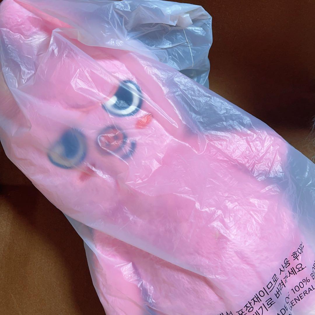 SKZOO テディベア チャンビン トゥエッキ