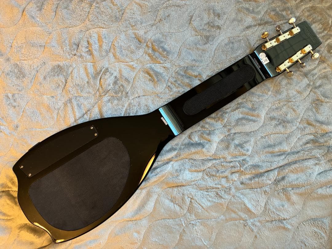 Epiphone Elector CENTURY 6弦スチールギター