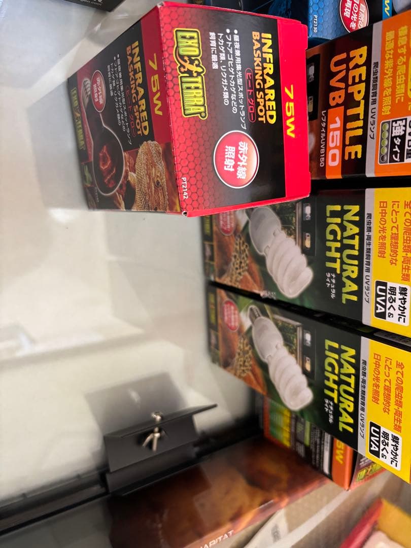 GEX EXOTERRA フトアゴヒゲトカゲ&リクガメ飼育キット送料込