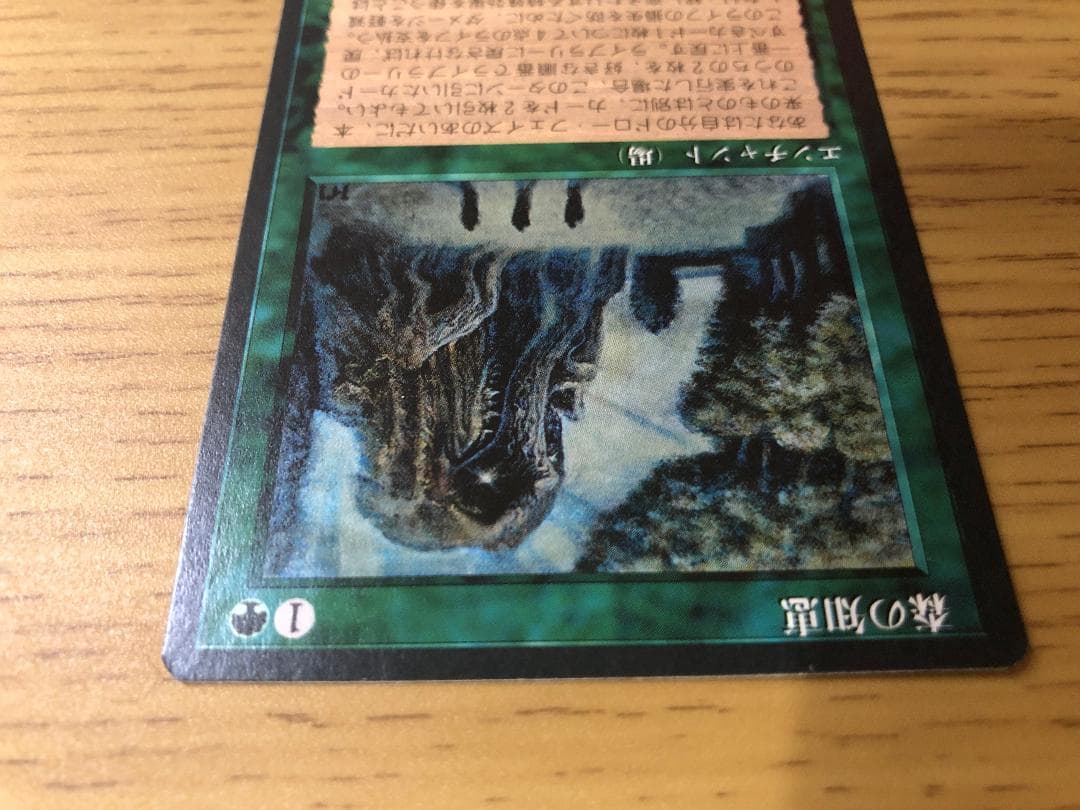 第4版 日本語黒枠フルコンプリートセット378枚 MTG 4EDBB 4ED