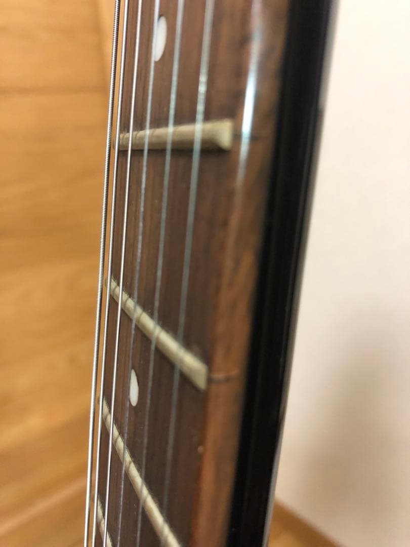 Epiphone Special II フレイム柄エレキギター