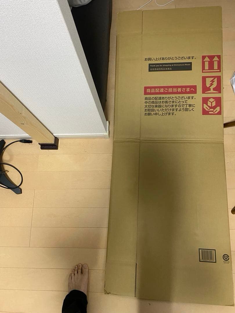 Epiphone casino coupe ダダリオ弦付き　即購入可