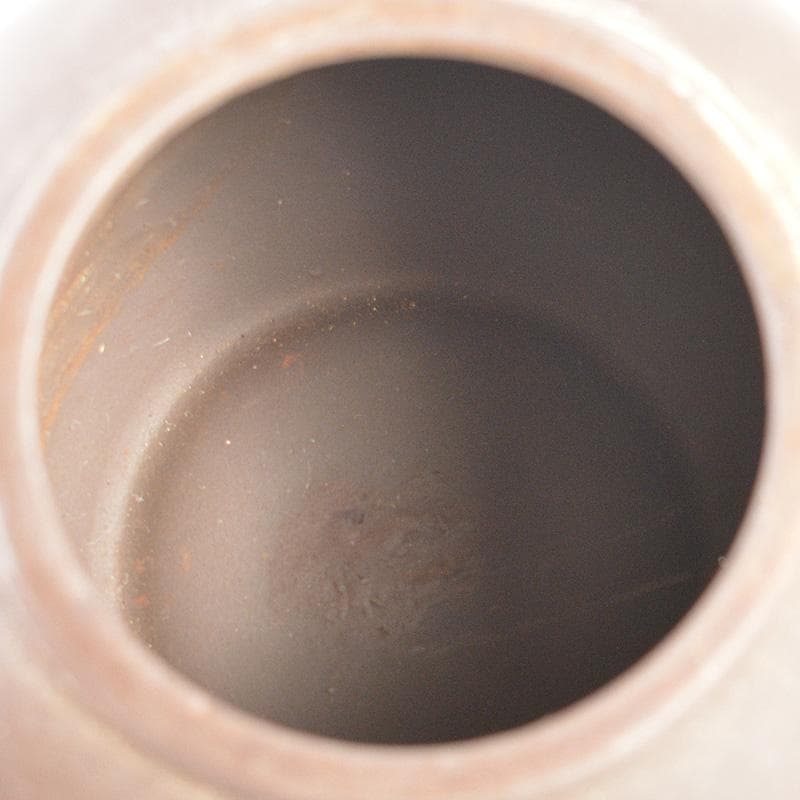 中国　東宝謹製　紫砂　朱泥　急須　茶壷　C　R6433