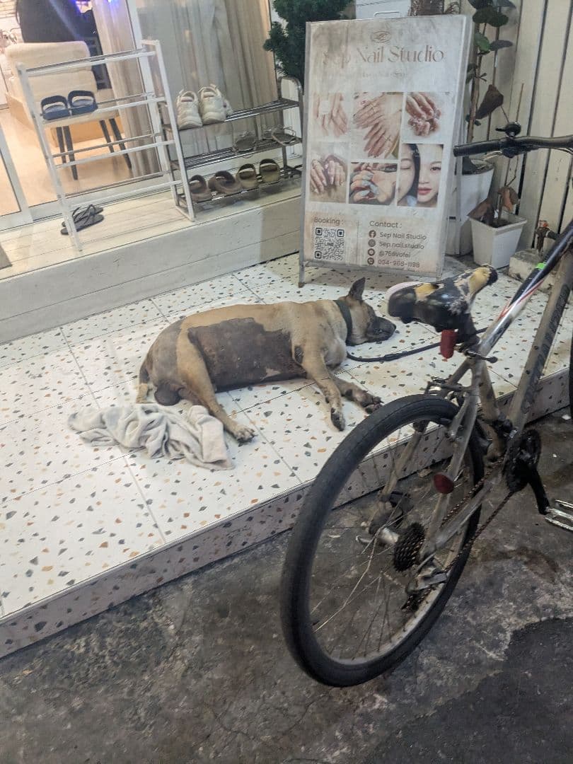 タイのお守りプラクルアン！タイの葛西紀明！レジェンド！ルアンポークン！プラピッタ