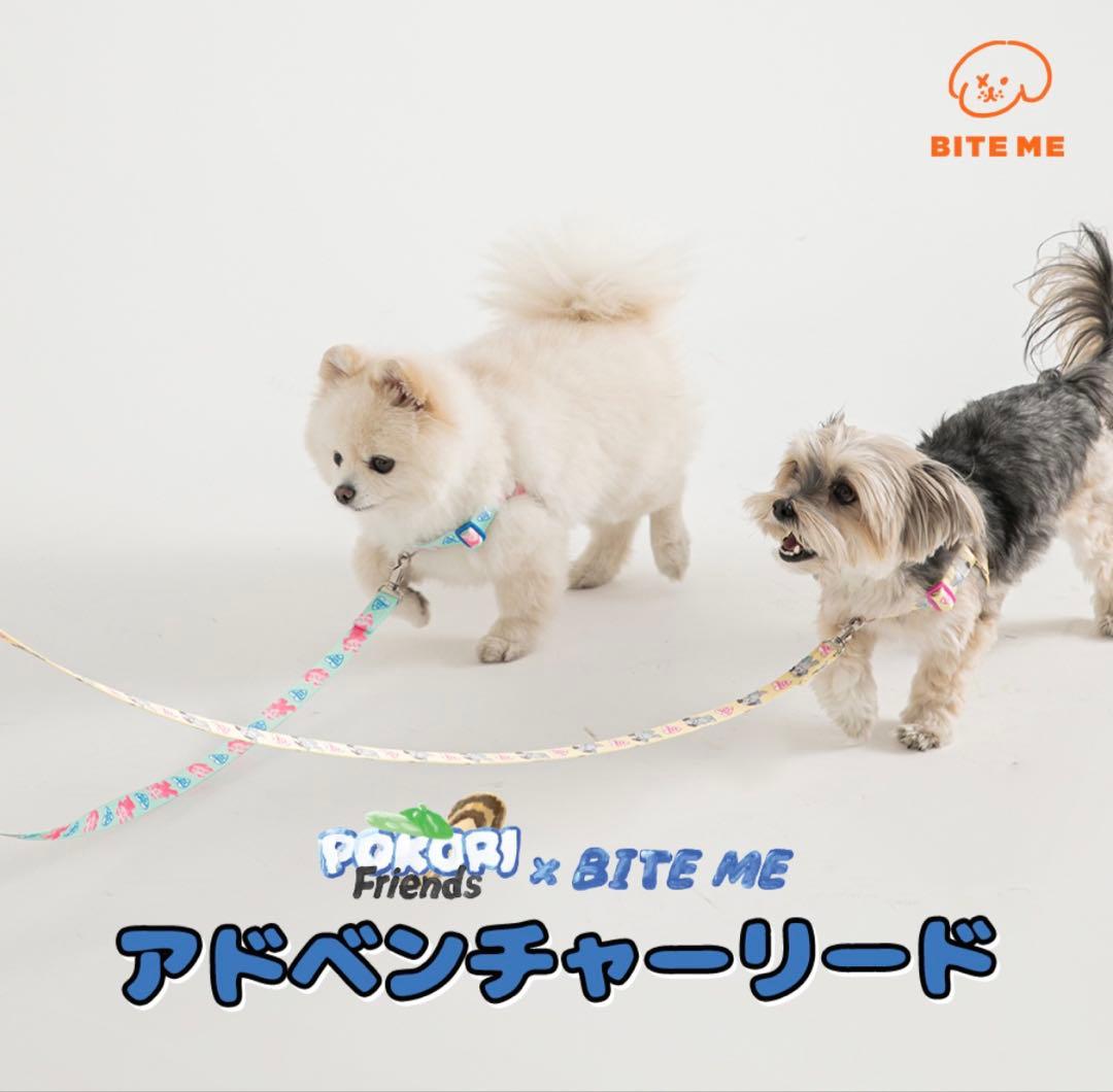 【新品】バイトミー　ポコリフレンズ　リード3本セット