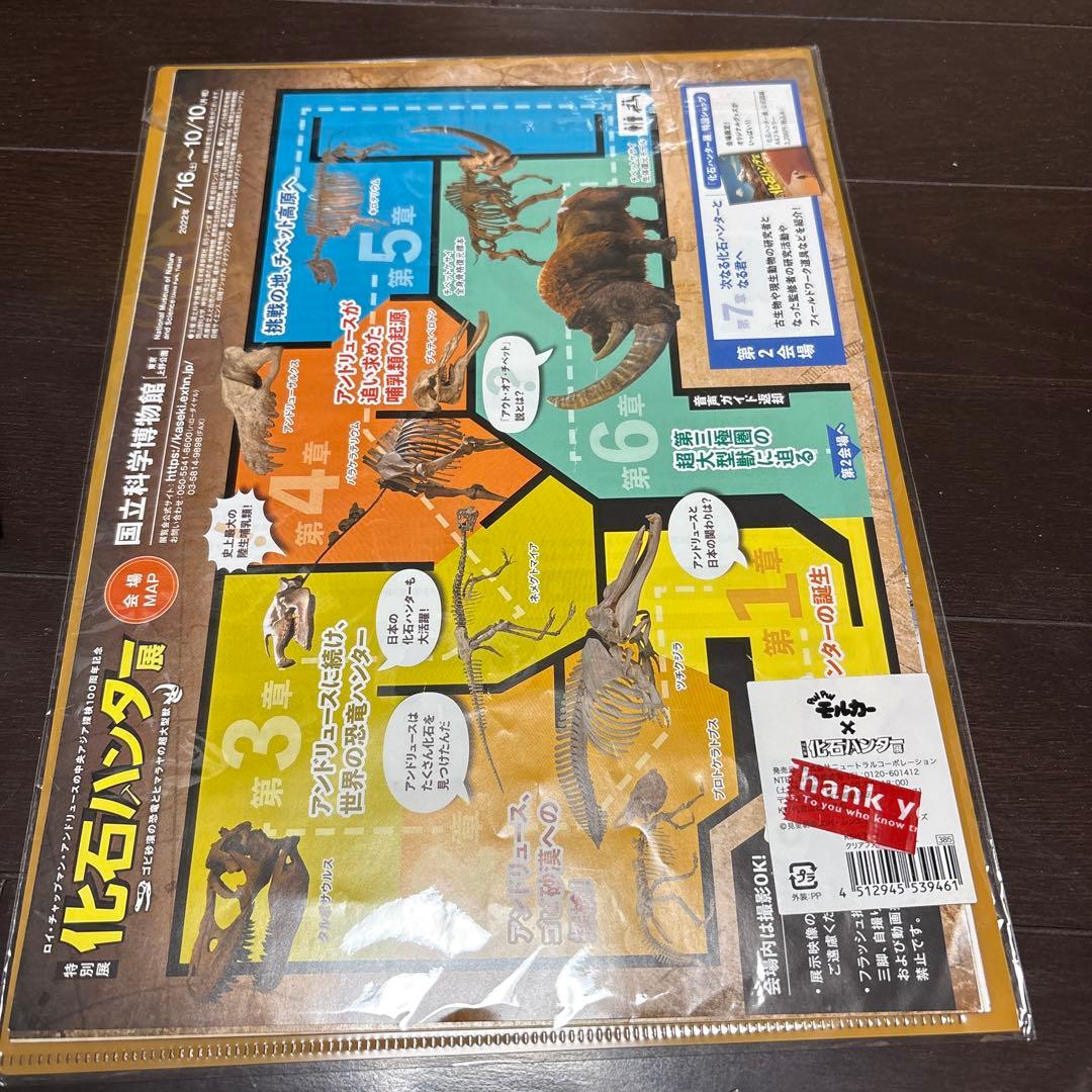 プイプイモルカー 化石ハンター　デザインクリアファイル