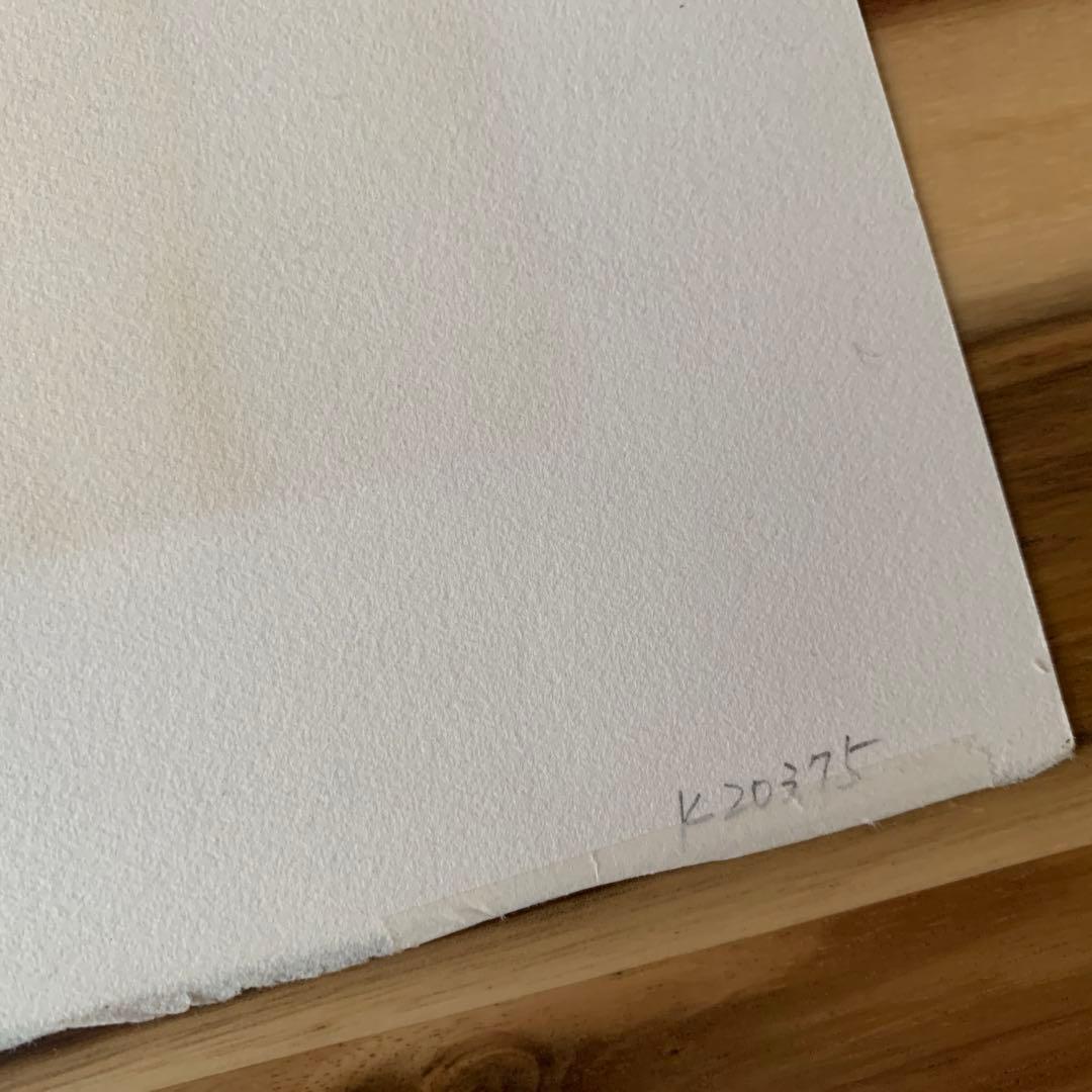 J.P. Cassigneul 6月の太陽