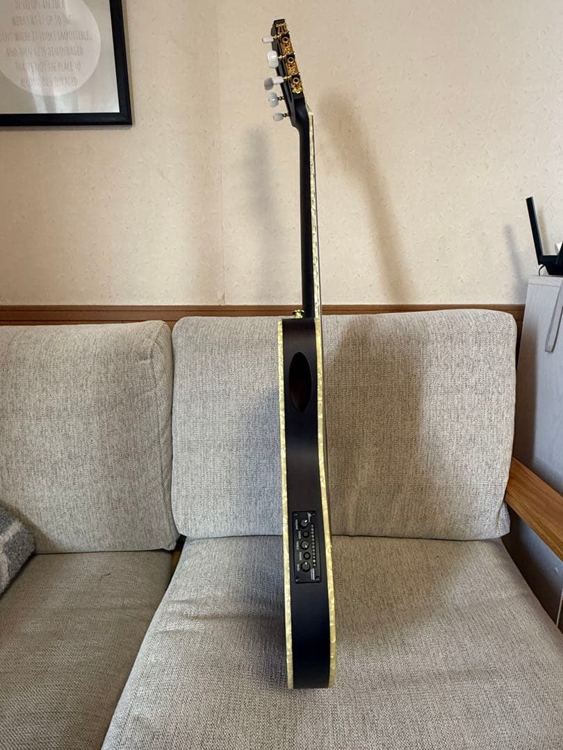 Ibanez TOD10N ナイロン弦 Tim Hensonモデル