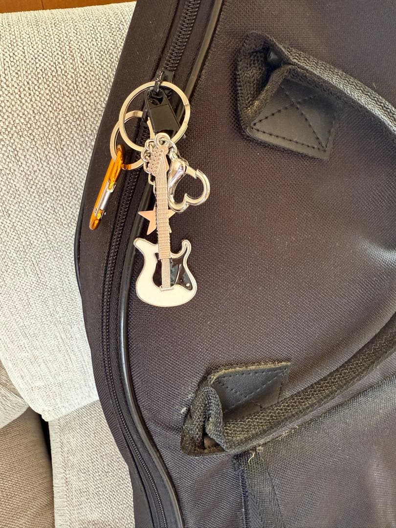 Ibanez TOD10N ナイロン弦 Tim Hensonモデル