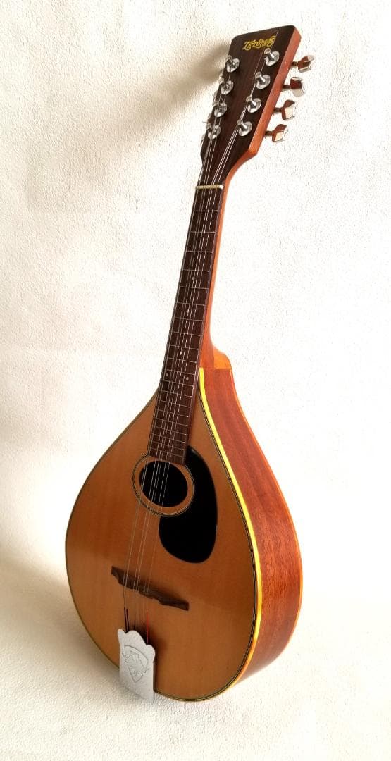 フラットマンドリン・良品（田原楽器：TETOMAS）ケース・新品弦付き