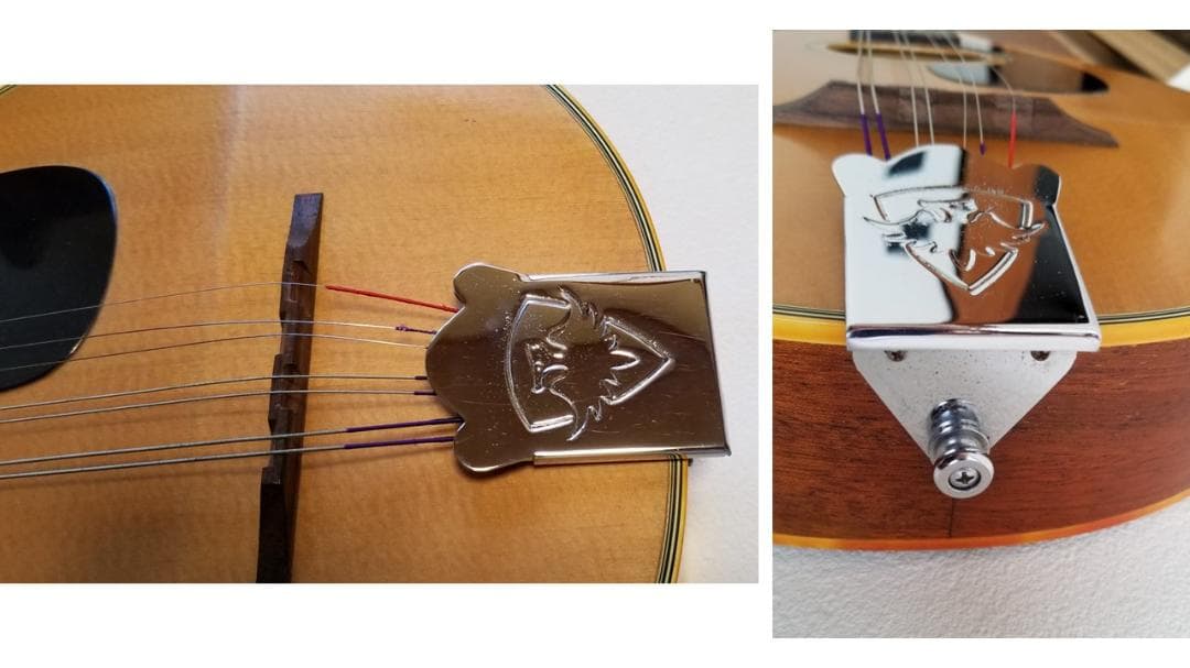 フラットマンドリン・良品（田原楽器：TETOMAS）ケース・新品弦付き