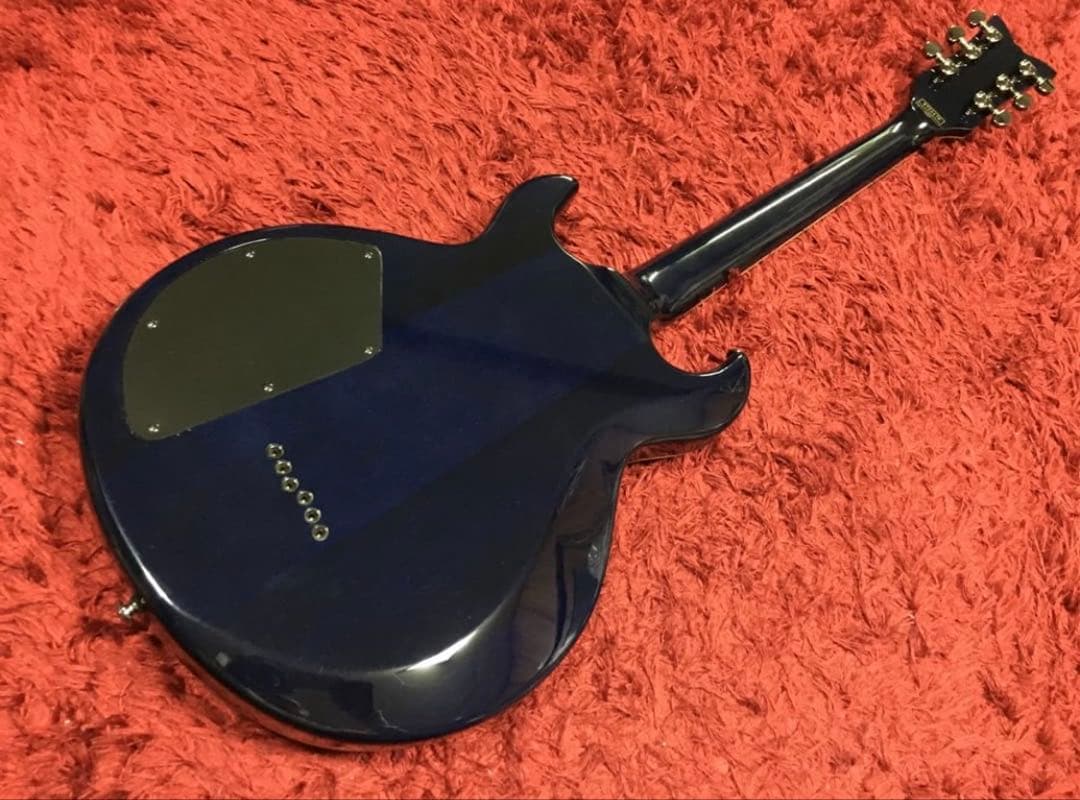 ギター Easy-Ryder