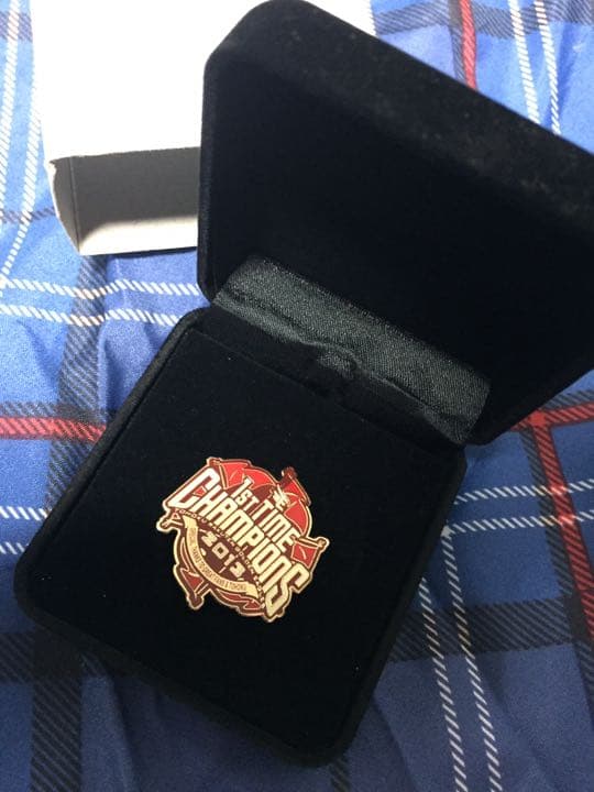 楽天 イーグルス 日本一 ピンズ