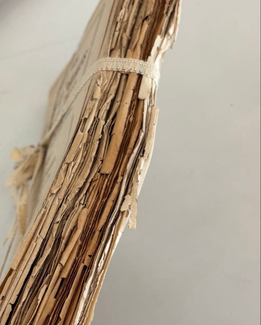 アンティーク雑貨 Old Paper & Wax Flower Set.