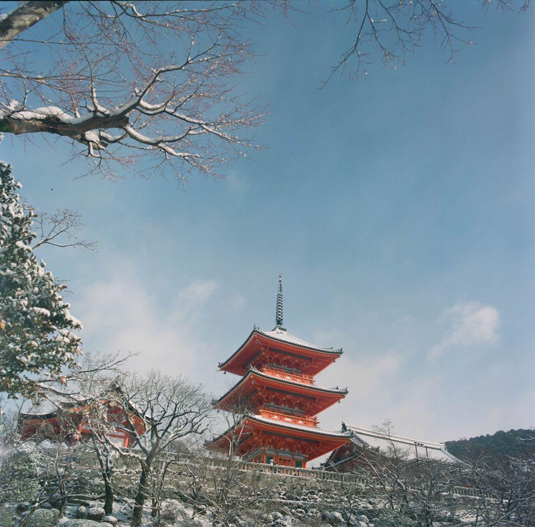 HASSELBLAD 500CM Distagon T 50mm F4 セット