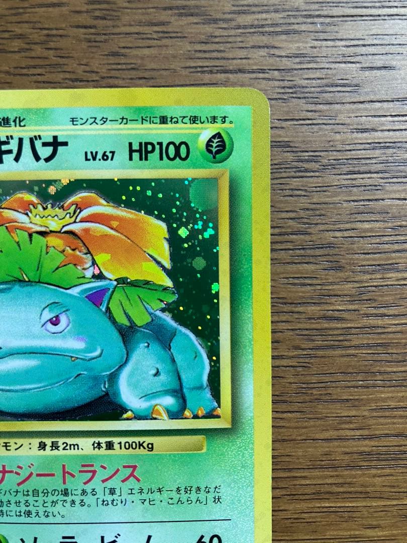 旧裏　ポケモンカード　フシギバナ(全面微ホロ)