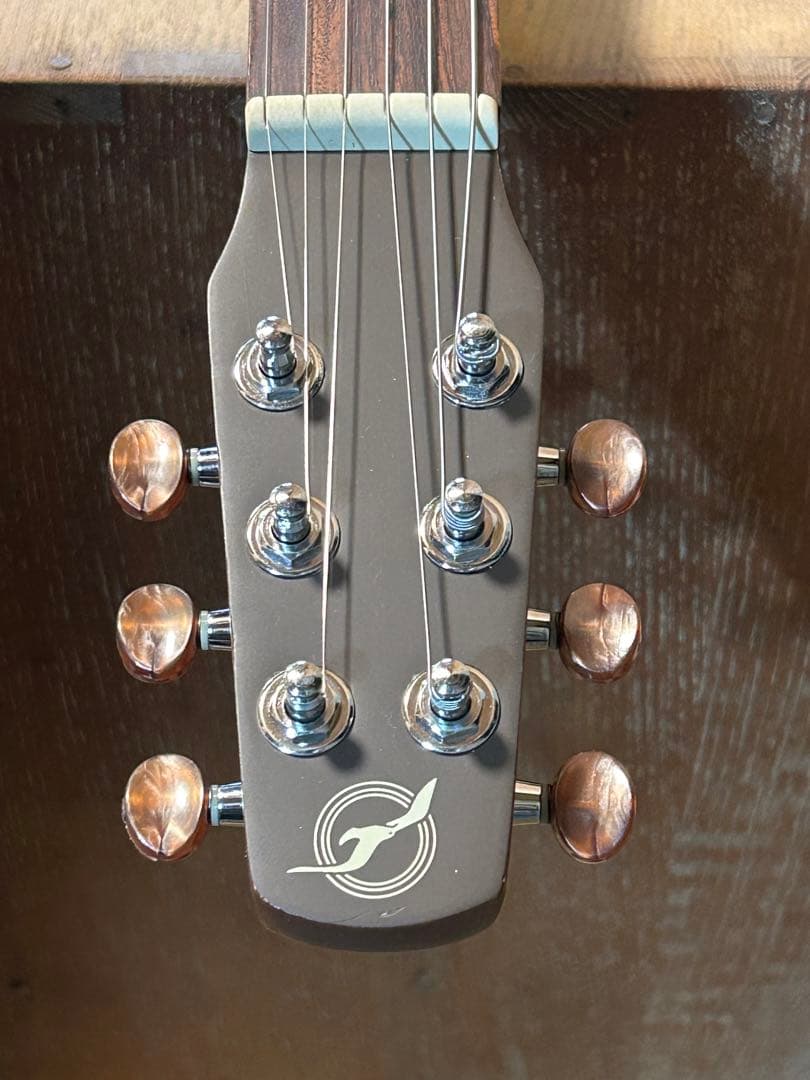 seagull grand(ハードケース付き エレアコ)