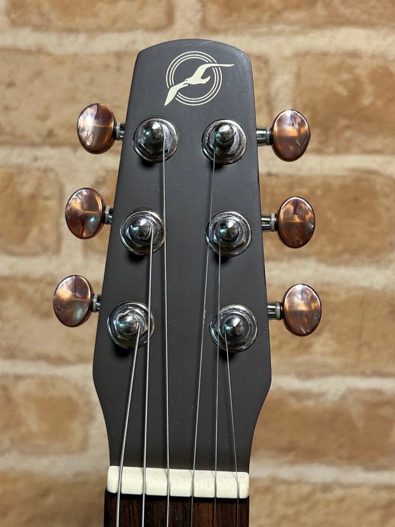 seagull grand(ハードケース付き エレアコ)