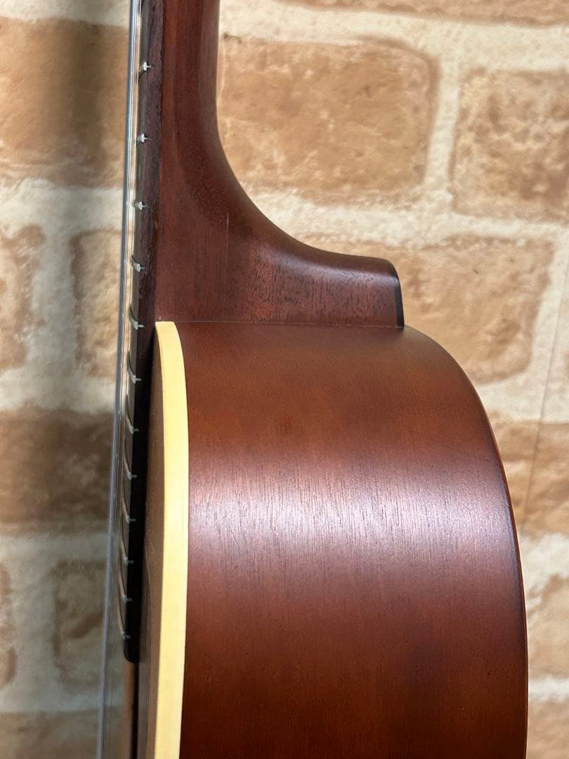 seagull grand(ハードケース付き エレアコ)