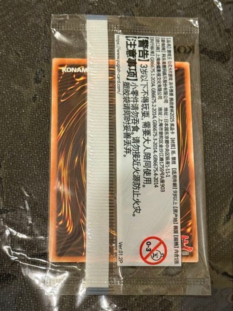 アジア版　2025年　日本選手権　優勝プロモ