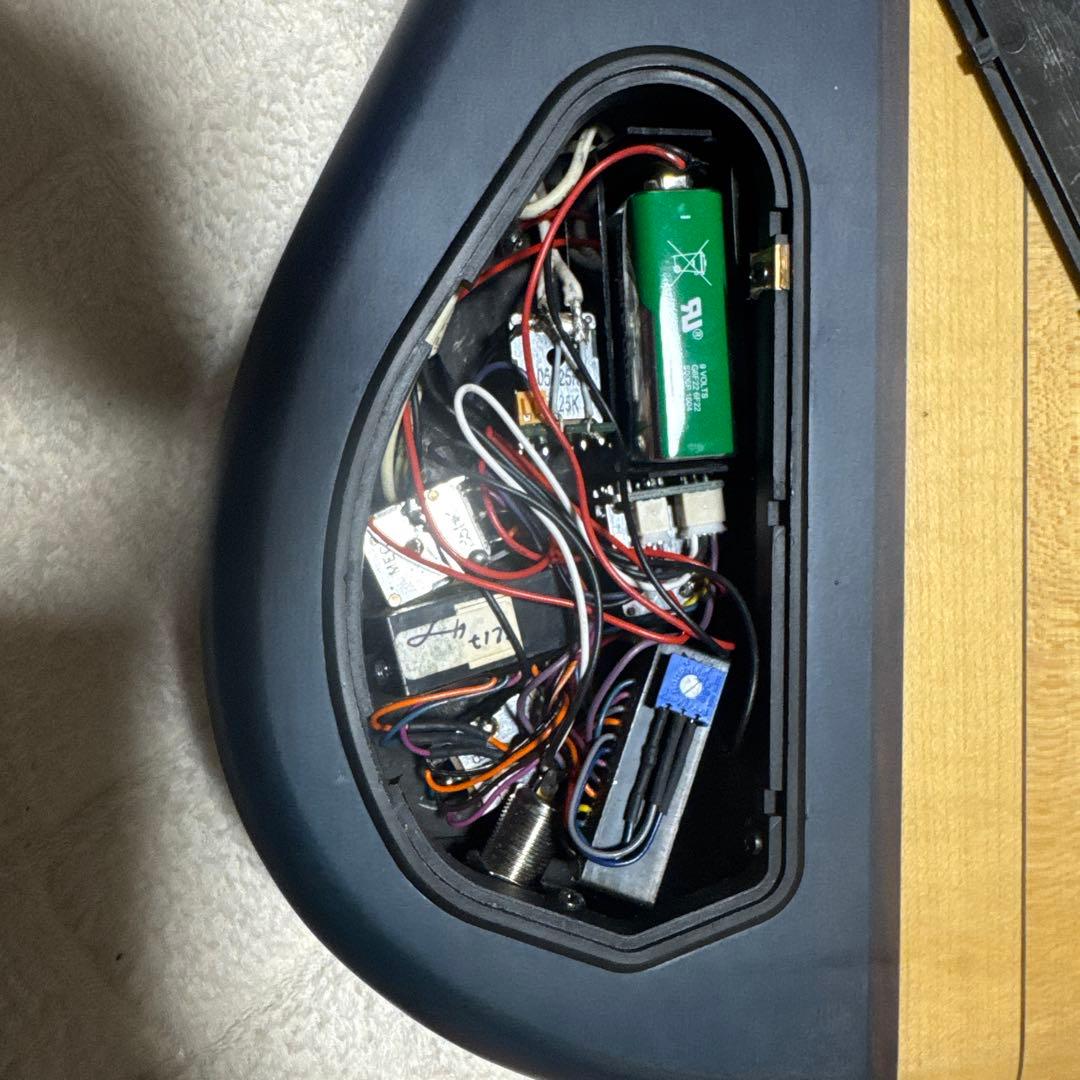 LLICA ベース　5弦　ギグケース付き