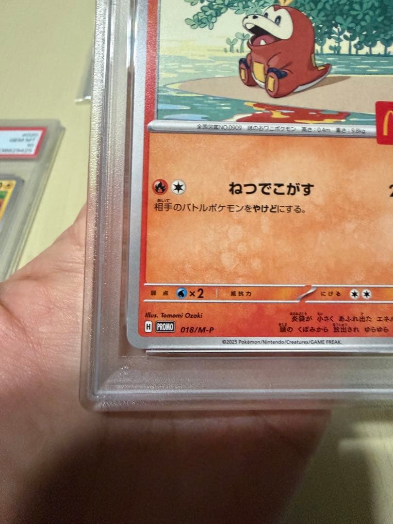 マックプロモピカチュウ　ホゲータセット　PSA10