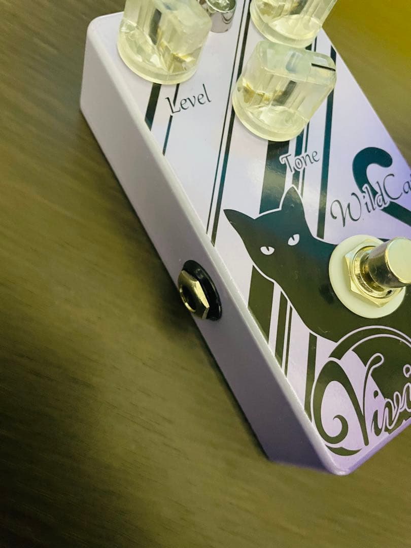 【シュウ】Vivie WildCat ギターエフェクター