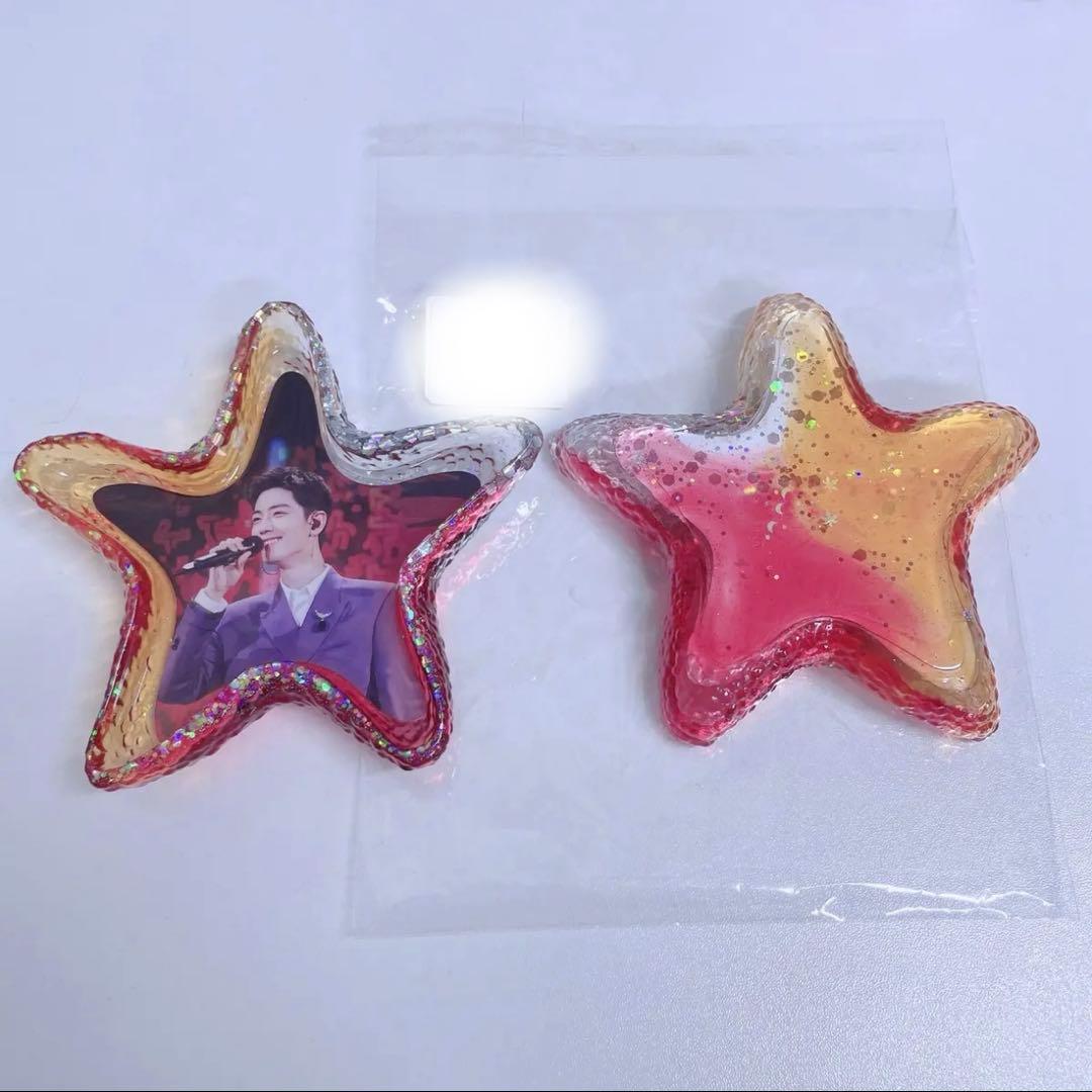 肖戦 星 アクセサリートレイ 11点セット❣️確認用❣️1225