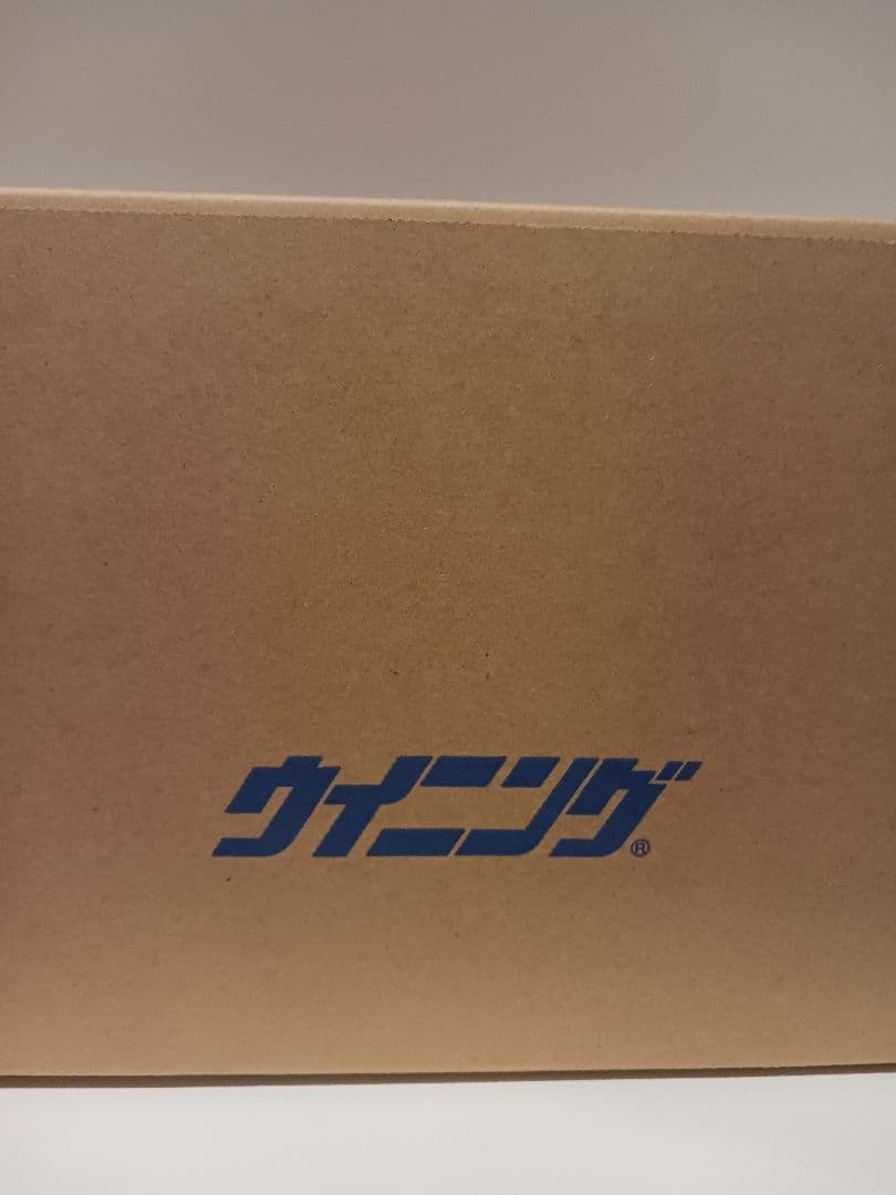 Winning ボクシンググローブ 16オンス 白　紐タイプ　ウイニング