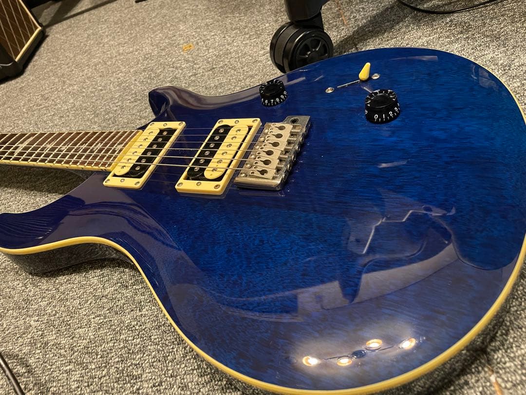 PRS SE Standard custom24 青