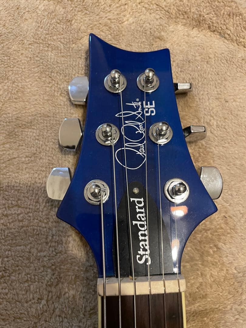 PRS SE Standard custom24 青