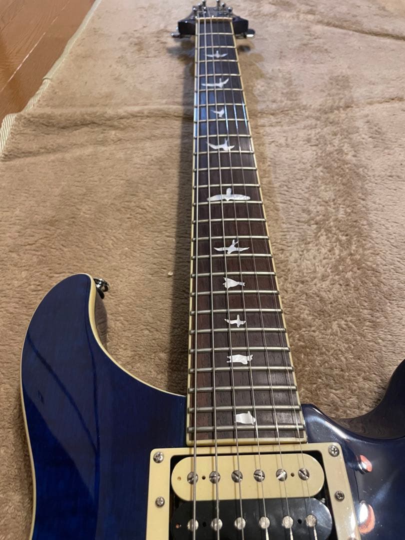 PRS SE Standard custom24 青
