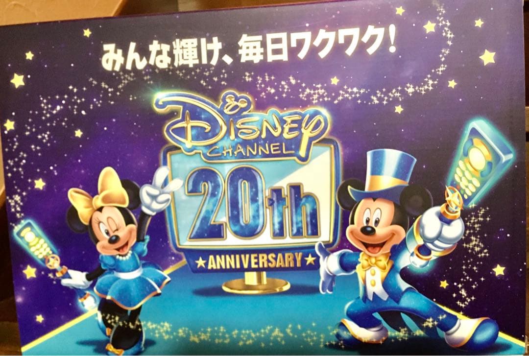 ディズニーチャンネル20周年オリジナルミッキー&ミニーぬいぐるみセット