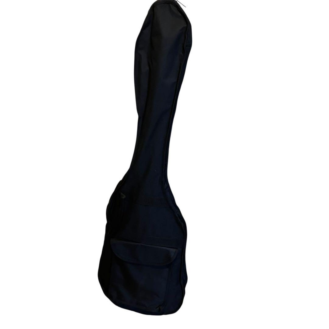 Epiphone VIOLA BASS エピフォン ビオラベース