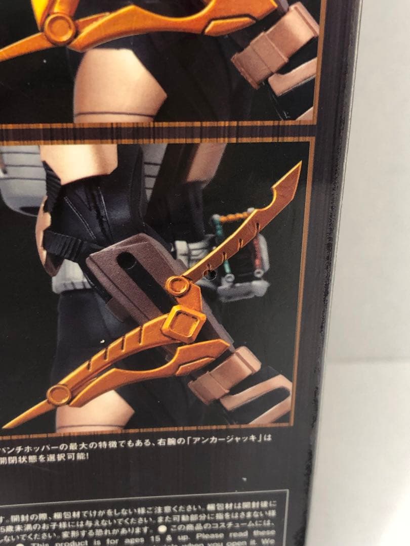 RAH DX仮面ライダーパンチホッパー　【未開封】