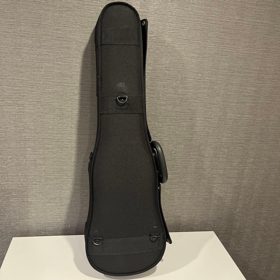 l*n様 GEWA バイオリンケース ブラック