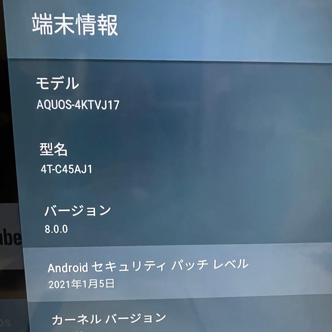 SHARP AQUOS 45V型 4K対応 4T-C45AJ1 2018年製