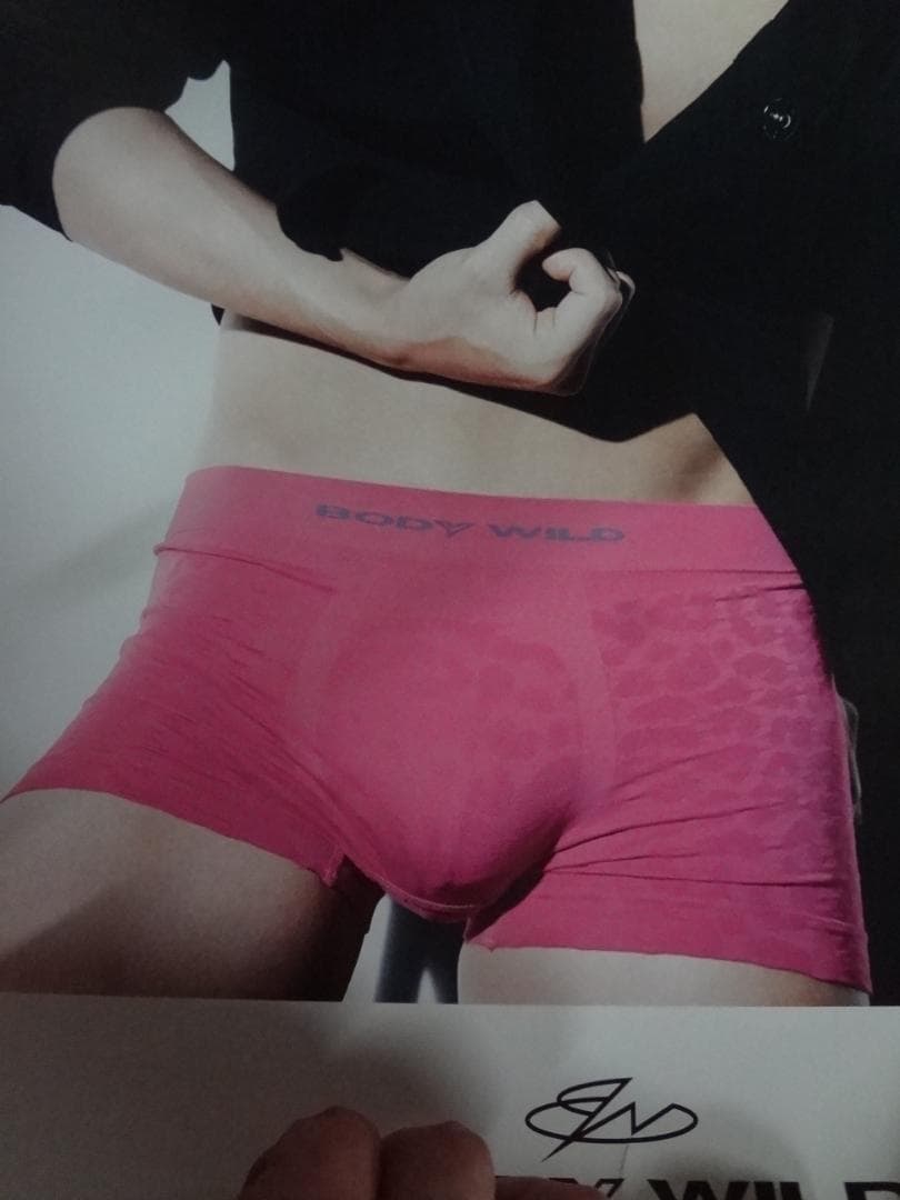 成宮寛貴GUNZE BODY WILD ボクサーパンツ入手困難非売品ポスター