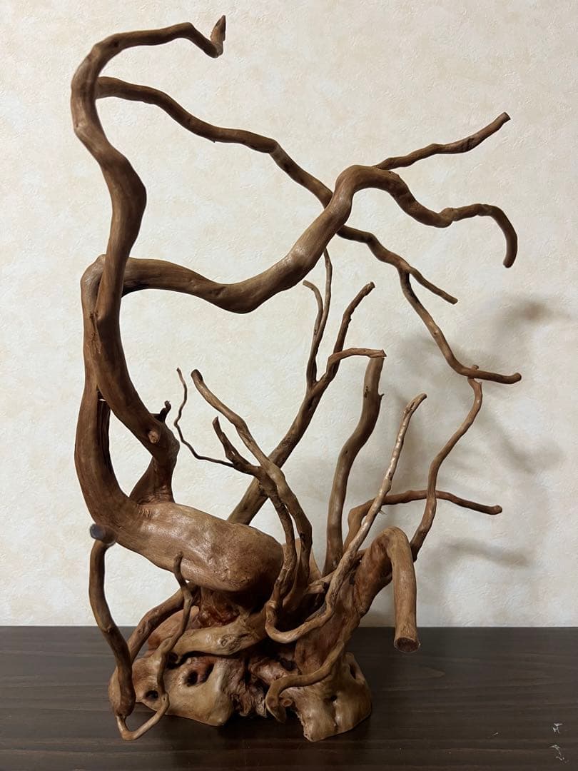 13003 ブランチウッド　流木　アクアリウム　沈水確認済