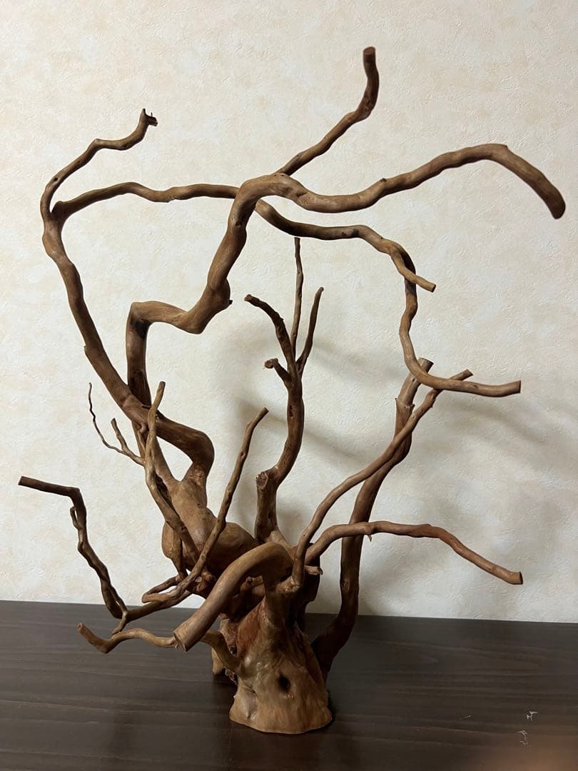 13003 ブランチウッド　流木　アクアリウム　沈水確認済