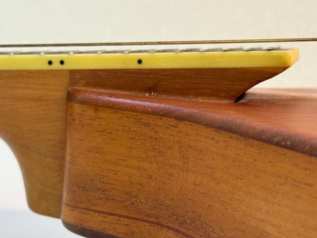 フラットマンドリンBeanBlossom By Morgan Monroe