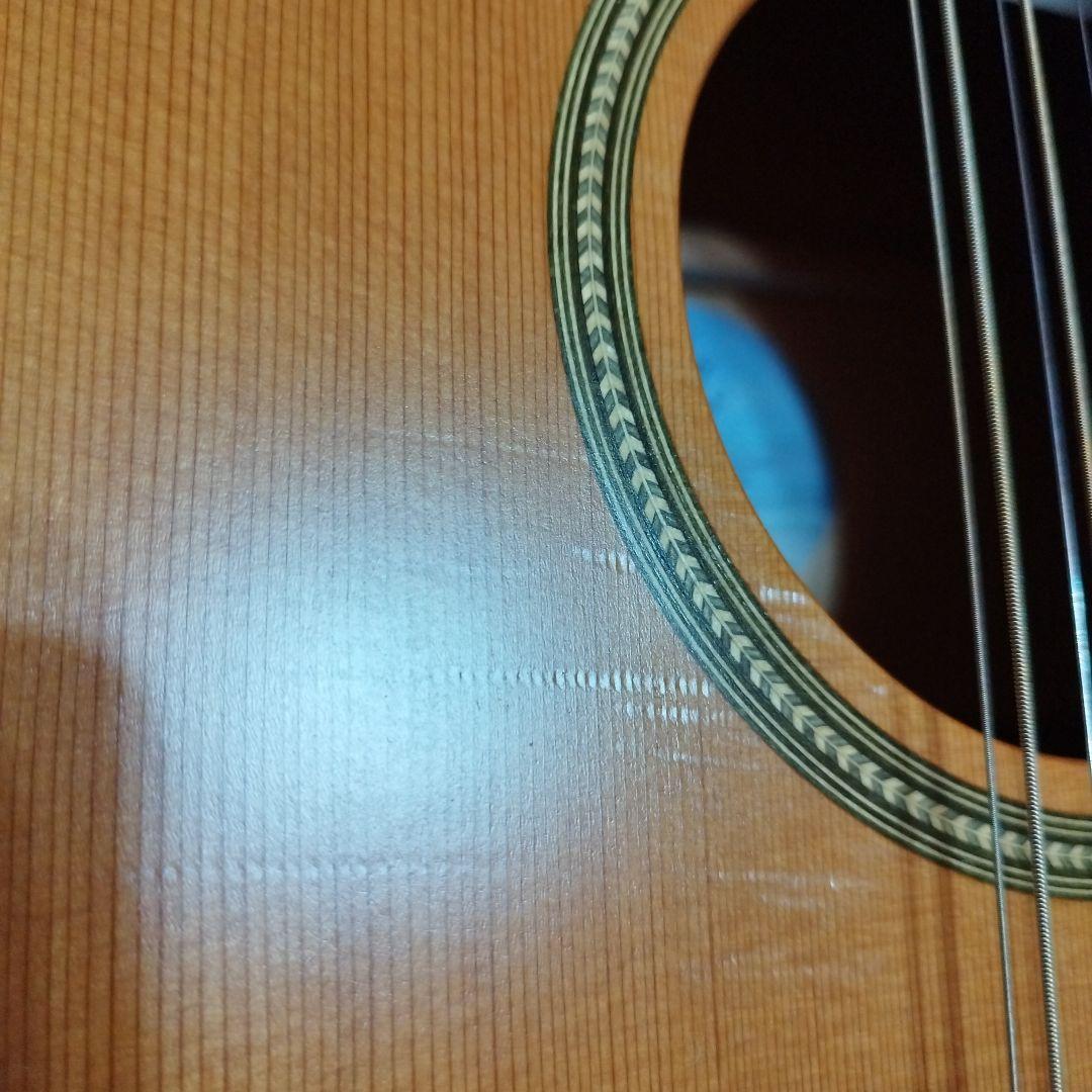 Seagull シーガル Coastline S12 Cedar Guitar