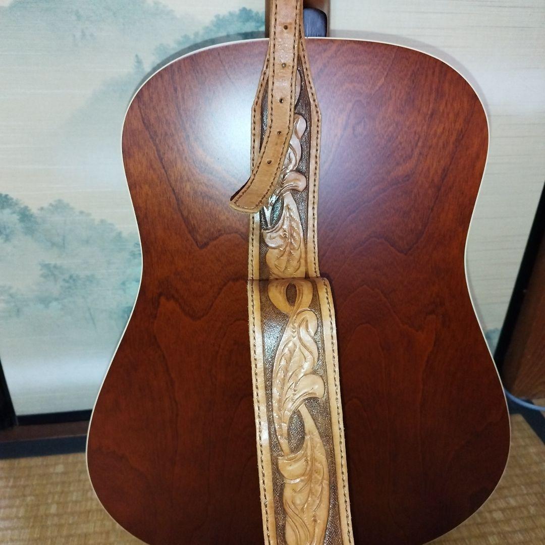 Seagull シーガル Coastline S12 Cedar Guitar