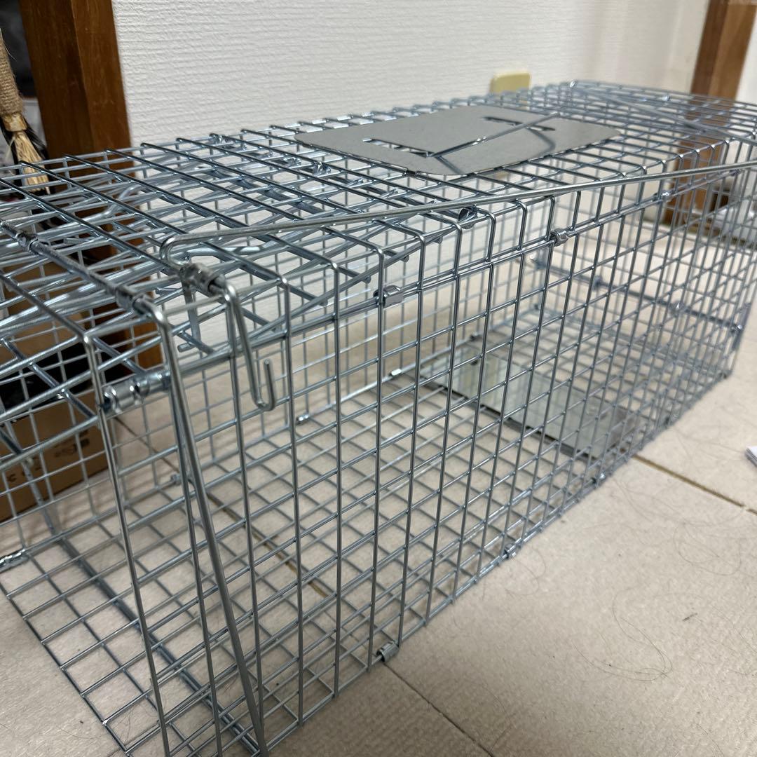 捕獲器と動体検知カメラセット